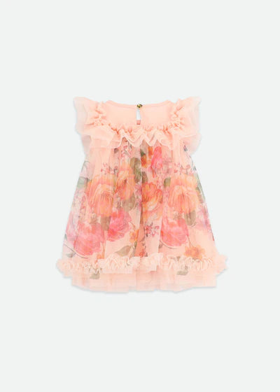 Angel's face-DOMINIQUE ROSES BORDER PRINT BABY DRESS- PEACH