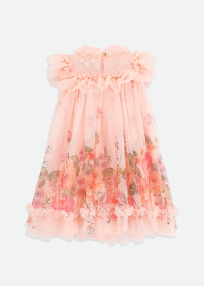 Angel's face-DOMINIQUE ROSES BORDER PRINT DRESS PEACH