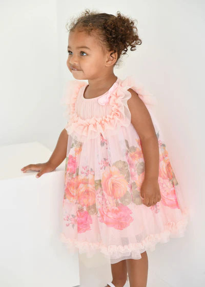 Angel's face-DOMINIQUE ROSES BORDER PRINT BABY DRESS- PEACH