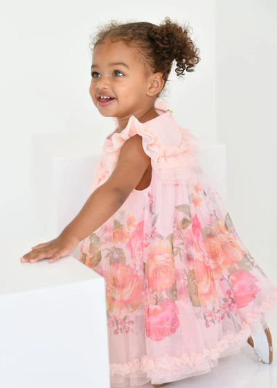 Angel's face-DOMINIQUE ROSES BORDER PRINT BABY DRESS- PEACH
