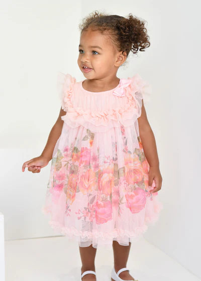 Angel's face-DOMINIQUE ROSES BORDER PRINT BABY DRESS- PEACH