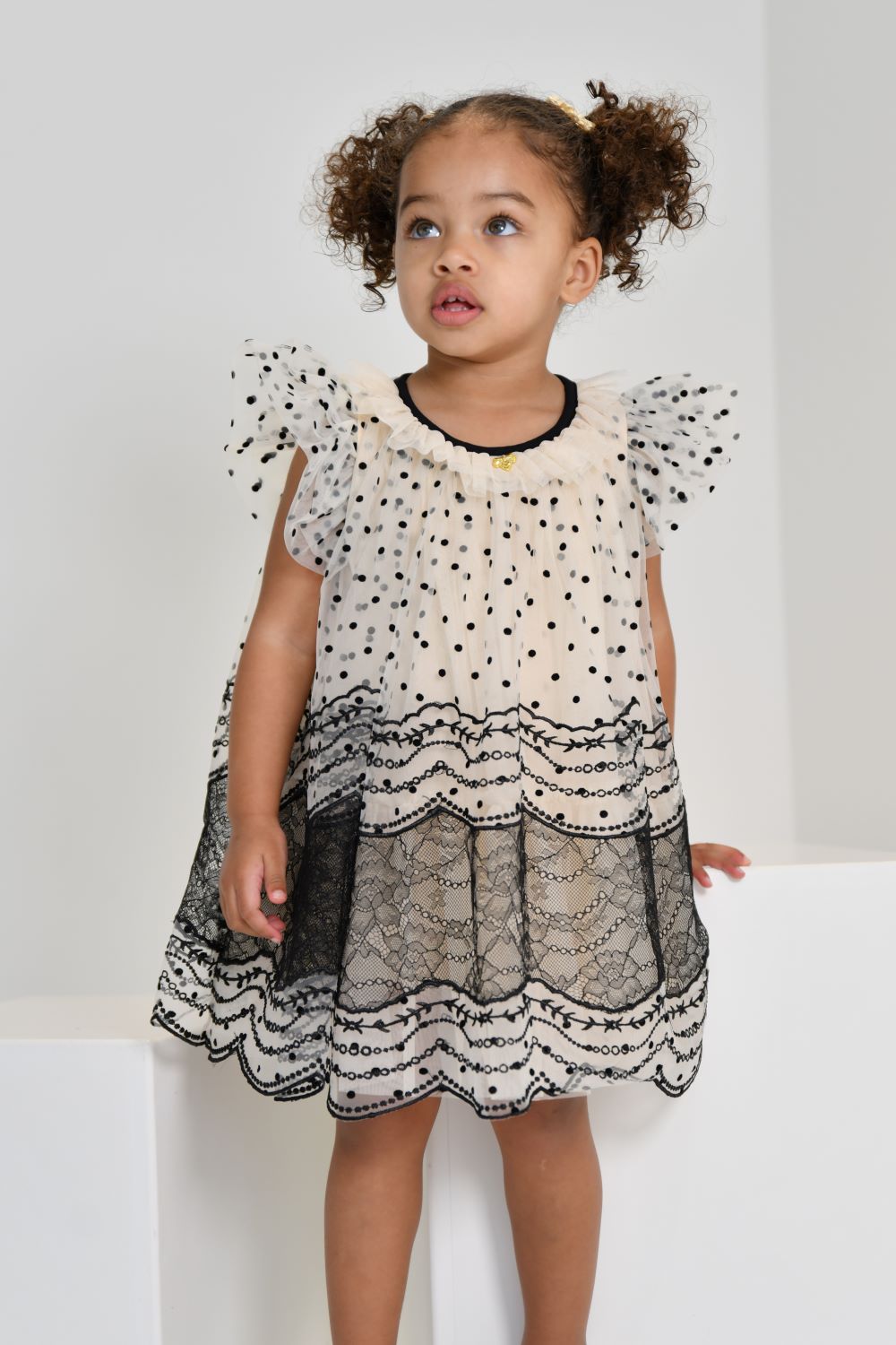 ANGEL'S FACE: IVY SPOT AND LACE BISCUIT/BLACK DRESS