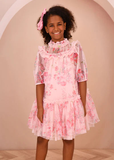 Angel's face-MYRTISA POSY PRINT TULE DRESS PALE PINK