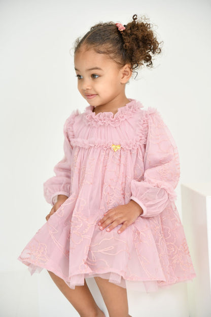 ANGEL'S FACE: NADIYA STITCH EMBROIDERY BABY VINTAGE ROSE DRESS
