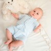 Luxury collection: Shorty Babygrow "MAX"